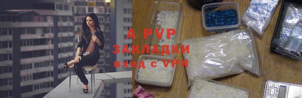 a pvp Белокуриха